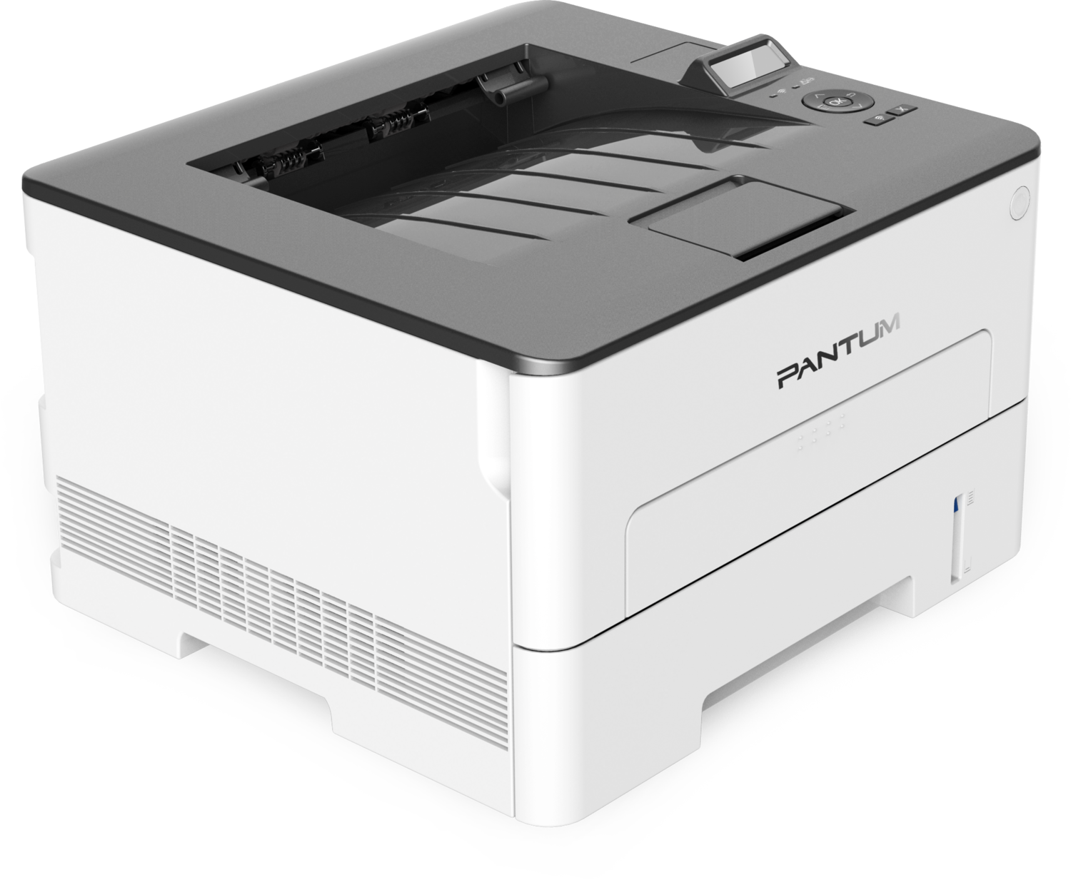 PANTUM P3010DW