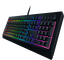 Razer Cynosa V2 RZ03-03400700-R3R1