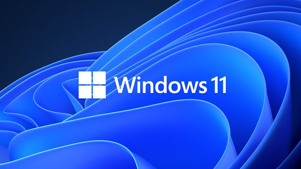 

Microsoft Windows Professional 11