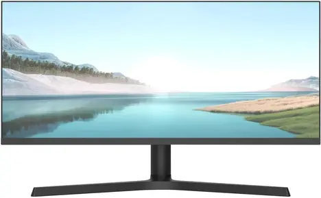 Монитор NPC MZ300L 29.0-inch черный