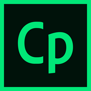Adobe Systems Adobe Captivate (продление for enterprise Multiple Platforms Multi European Languages AcademicEdition Named license),