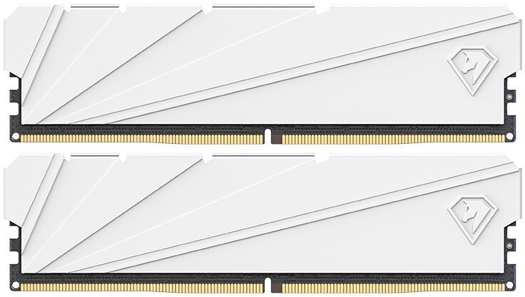 Оперативная память Netac DDR4  2x8GB, NTSSD4P32DP-16W