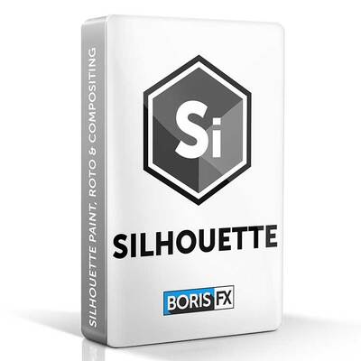 Boris FX Silhouette Paint (подписка на лицензию Silhouette Paint + Mocha Pro, Float Bundle на 1 год), Adobe