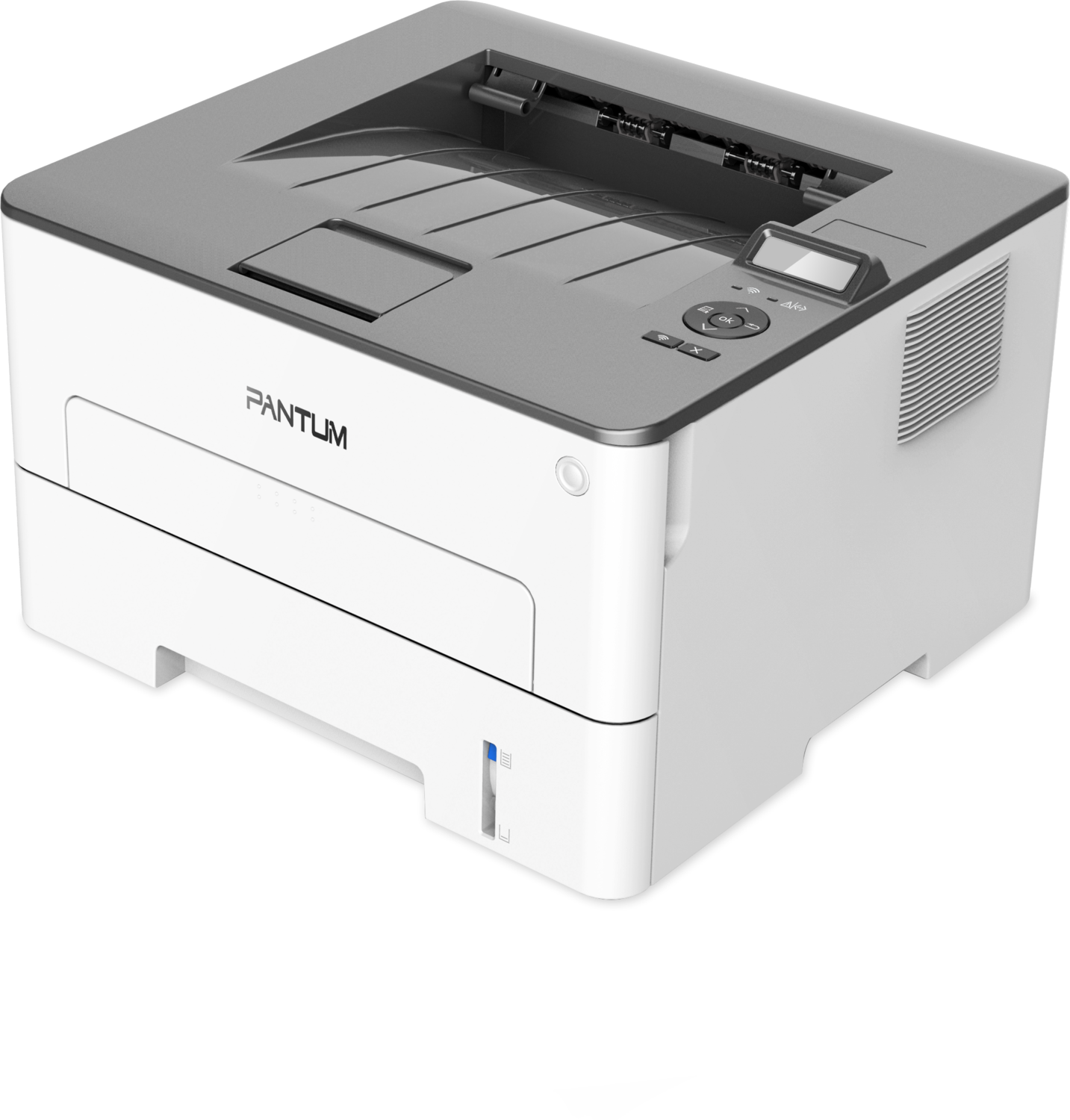 PANTUM P3010DW