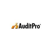 AuditPro Helpdesk