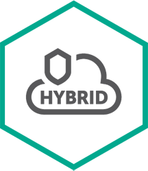 Kaspersky Security для виртуальных  и облачных сред (продление базовой лицензии Desktop Enterprise Edition), Электронная лицензия на 2 года по количеству виртуальных рабочих станций