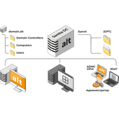 Альт Домен 11