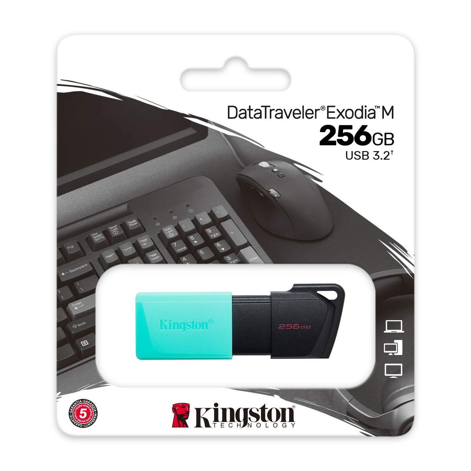 Флешка Kingston DataTraveler Exodia M 256Gb