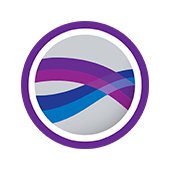 Golden Software Surfer