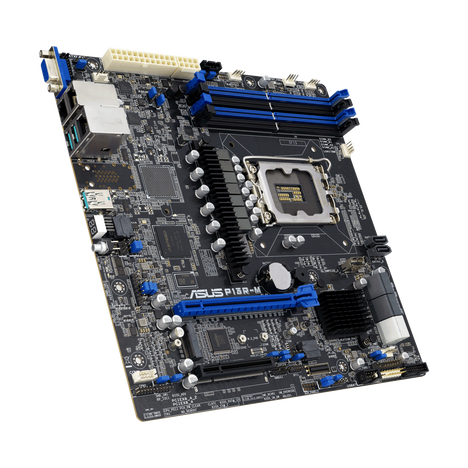 Материнская плата ASUS P13R-M