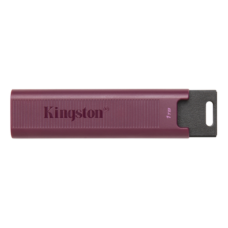 Флешка Kingston DataTraveler Max 1Tb