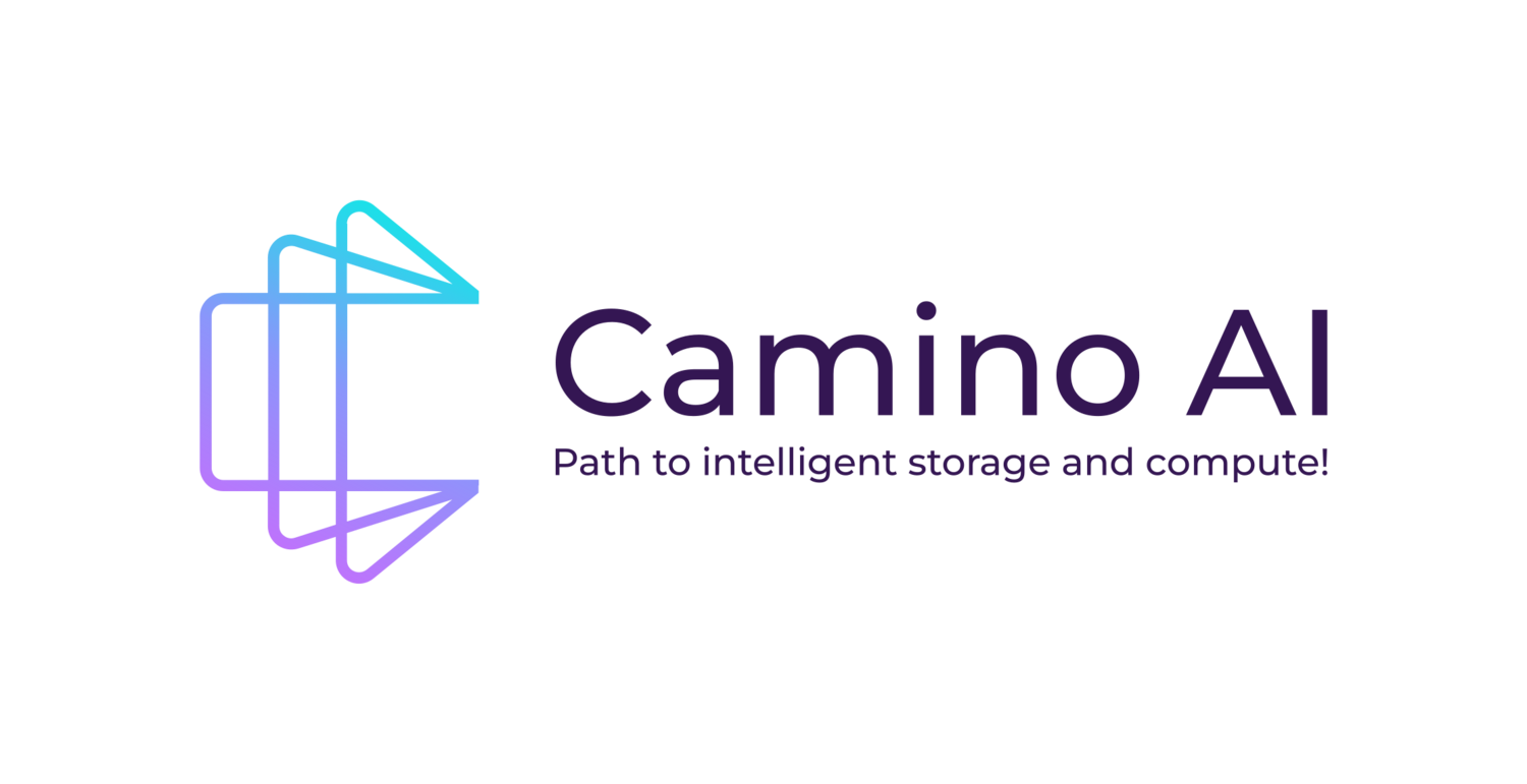 CaminoSoft Technologies, Inc. CaminoSoft Managed Server HSM (лицензия), Версия для Linux (Passive Server in Cluster)