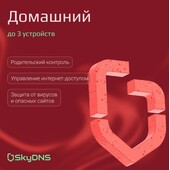 Родительский контроль («SkyDNS.Домашний»)