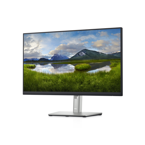 Монитор Dell Technologies P2422HE 23.8-inch черный