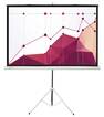 

Экран Cactus Triscreen CS-PST-180X180