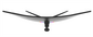 Монитор Valday AL77AZF 34.0-inch черный