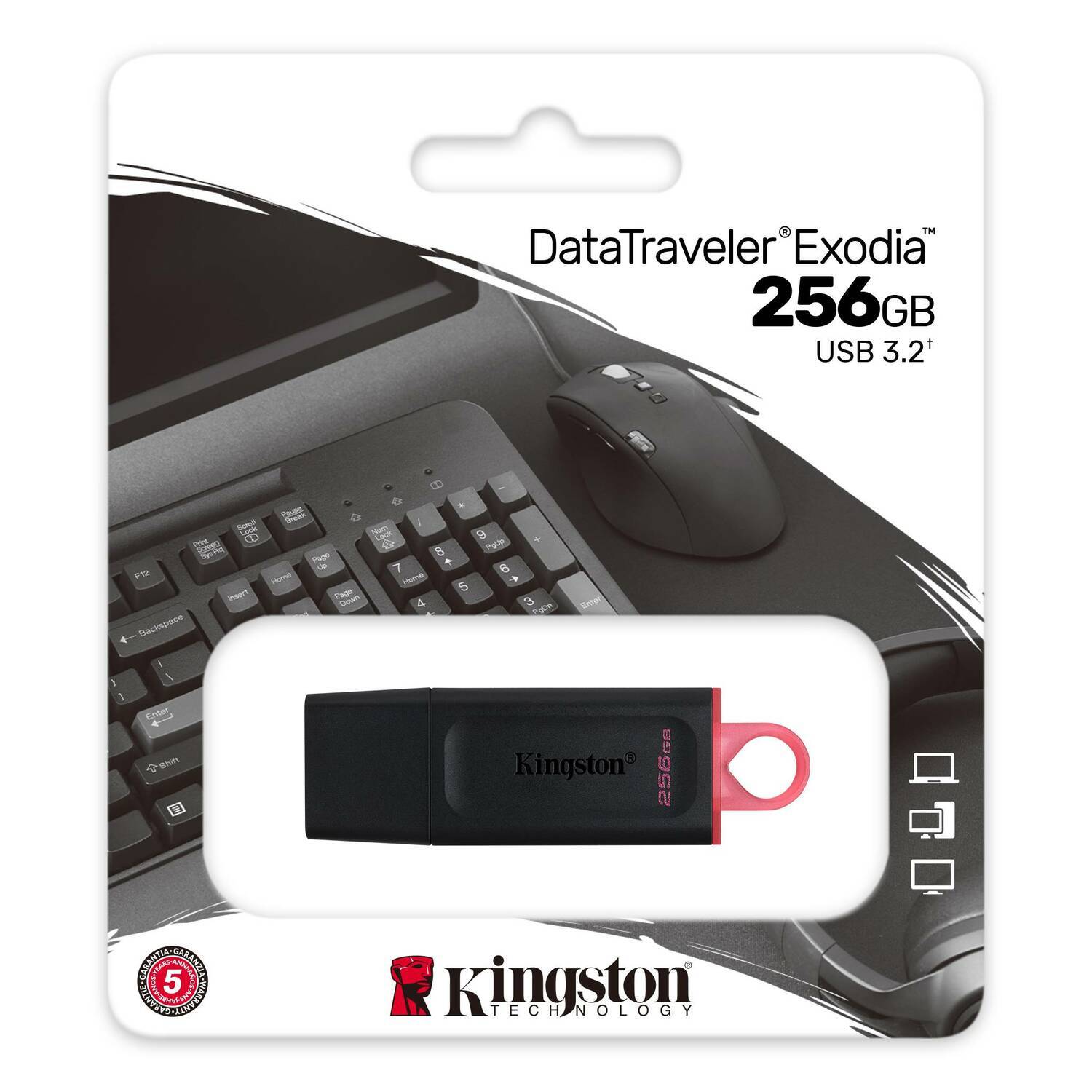 Флешка Kingston DataTraveler Exodia 256Gb
