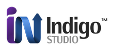 Infragistics Indigo Studio (лицензия на 1 год), On-Prem (Server + 5 пользователей)