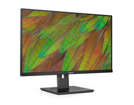 Монитор Philips 32B1U3900 31.5-inch черный