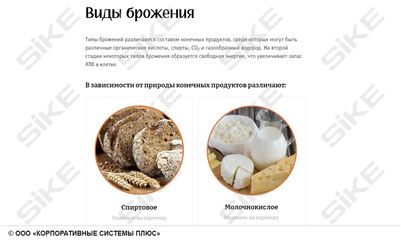 ООО «Корпоративные системы Плюс» Электронный курс Общая микробиология ГЛАВА 2, Метаболизм, культивирование и рост микроорганизмов (лицензия), базовая версия