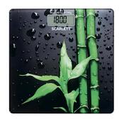 Весы Scarlett SC-BS33E051