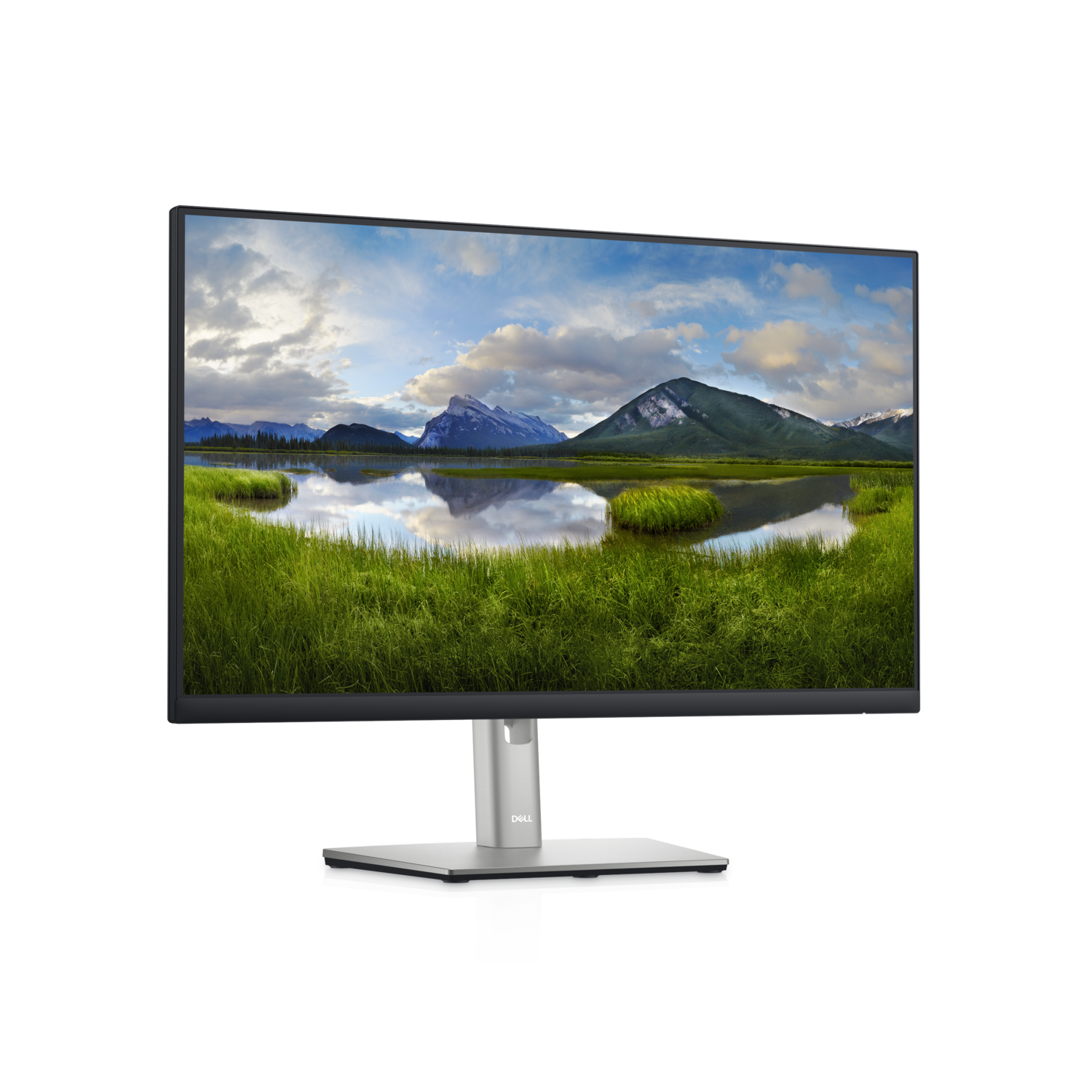 Монитор Dell Technologies P2422HE 23.8-inch черный