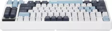 Клавиатура MSI FORGE GK600 TKL WIRELESS SKY S11-43RUP01-HH9, цвет серый