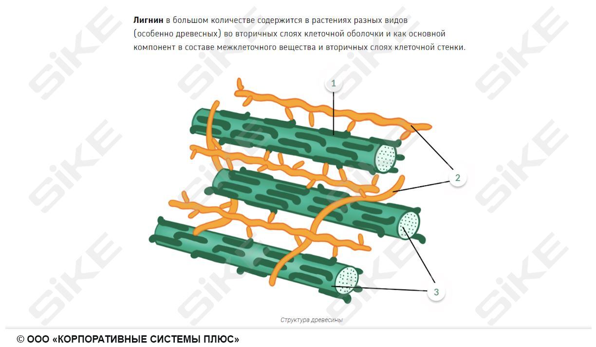 Sike. Электронный курс «Общая микробиология ГЛАВА 4. Биохимические процессы, используемые в пищевых производствах»
