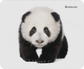 Defender Wild Animals 50803