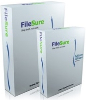 ByStorm Software FileSure, Audit Windows (версия Workstation), 1 пользователь