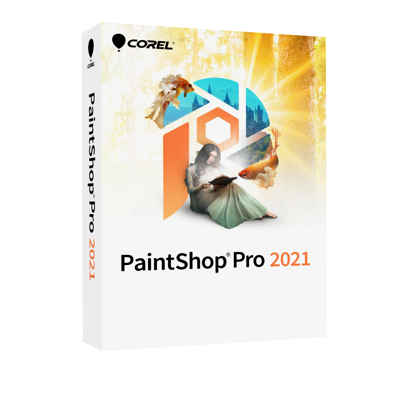 Corel PaintShop Pro 2021