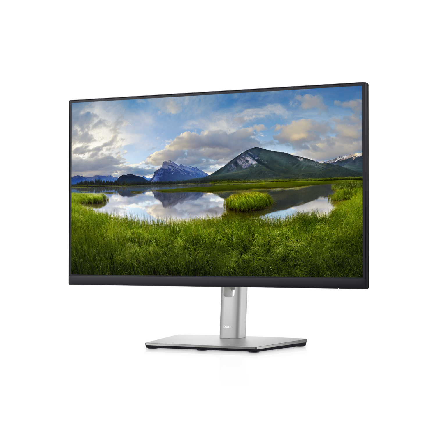 Монитор Dell Technologies P2422HE 23.8-inch черный