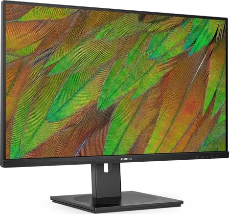 Монитор Philips 32B1N3800 31.5-inch черный