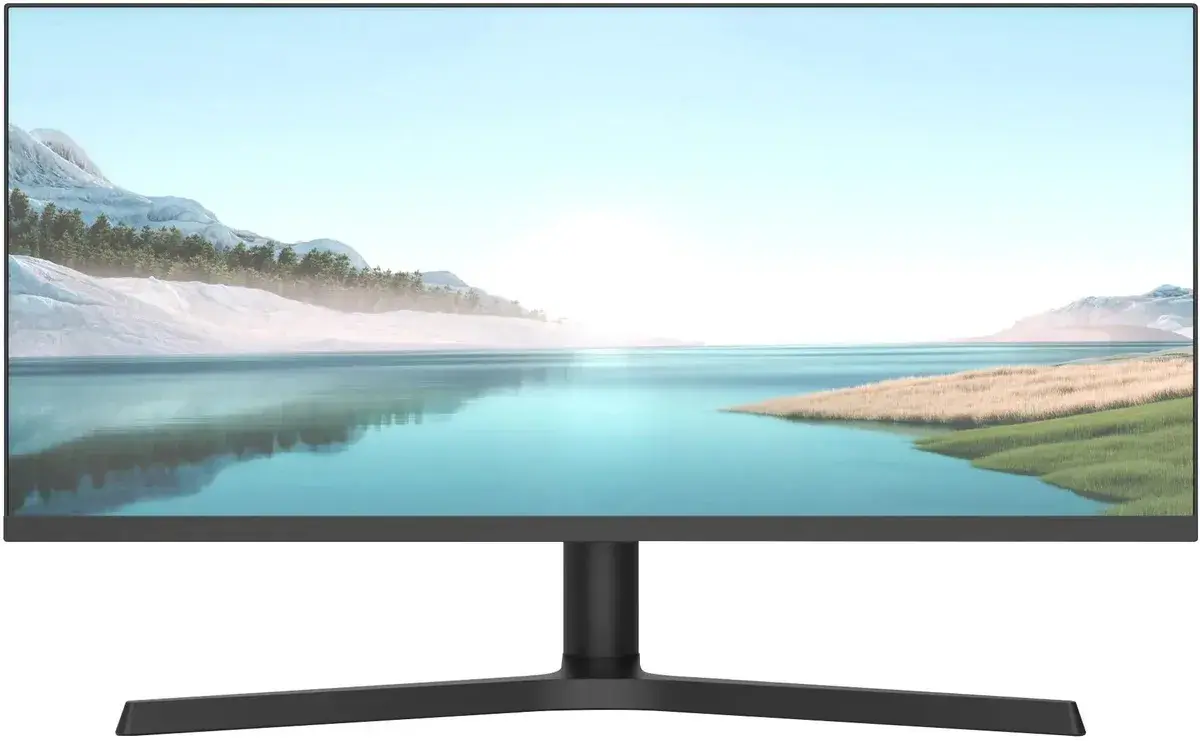 Монитор NPC MZ300L 29.0-inch черный