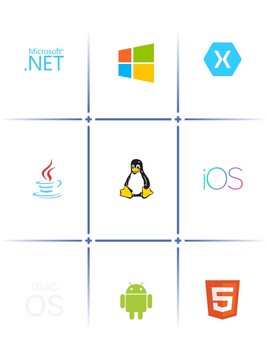 ORPALIS GdPicture.NET SDK (лицензия), Лицензия Site