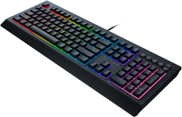 Razer Cynosa V2 RZ03-03400700-R3R1