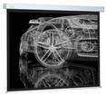 

Экран Cactus Wallscreen CS-PSW-206X274