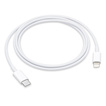 

USB-C to Lightning Cable (1 m)