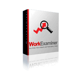 EfficientLab Work Examiner Professional