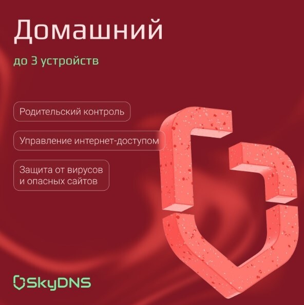 Родительский контроль («SkyDNS.Домашний»)