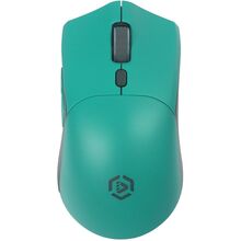 Мышь Raskat Мышь MG009WR, цвет зеленый