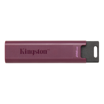 Флешка Kingston DataTraveler Max 256Gb