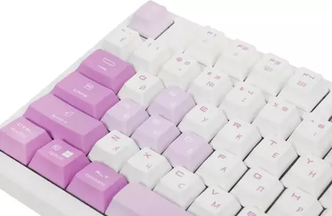 Клавиатура MSI FORGE GK600 TKL WIRELESS VIOLET S11-43RUQ01-HH9, цвет белый