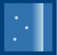 ИРББИ Irbby Web Scanner (электронная лицензия на 1 ПК на 1 год),
