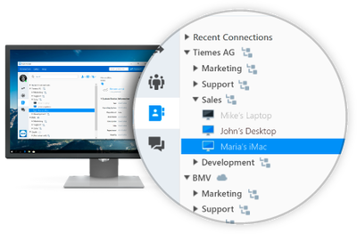 TeamViewer GmbH TeamViewer (лицензия с полным пакетом бухгалтерских документов), Corporate 11
