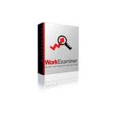 Work Examiner Standard