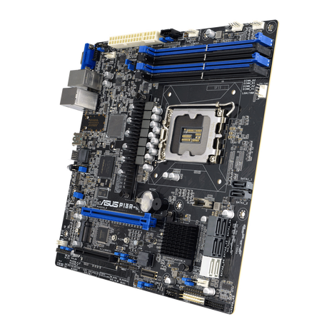 Материнская плата ASUS P13R-M