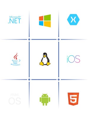 ORPALIS GdPicture.NET SDK (лицензия), 4 разработчика
