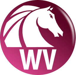 AKVIS Watercolor Video