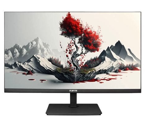 Монитор RDW COMPUTERS RDW2401K 23.8-inch черный